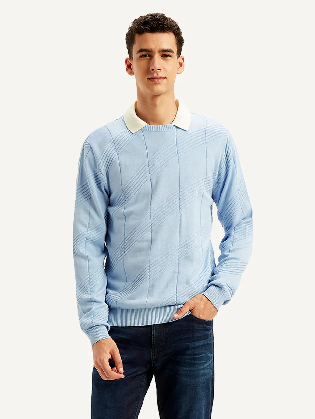 Men's Textured Light-Blue Crew Neck Sweater